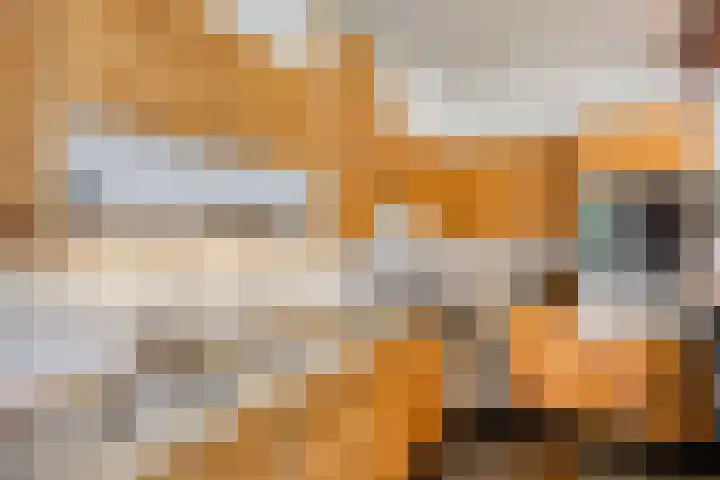 Verbeeklaan 9 Eindhoven thumbnail 18