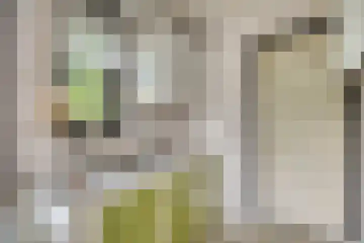 Verbeeklaan 9 Eindhoven thumbnail 19