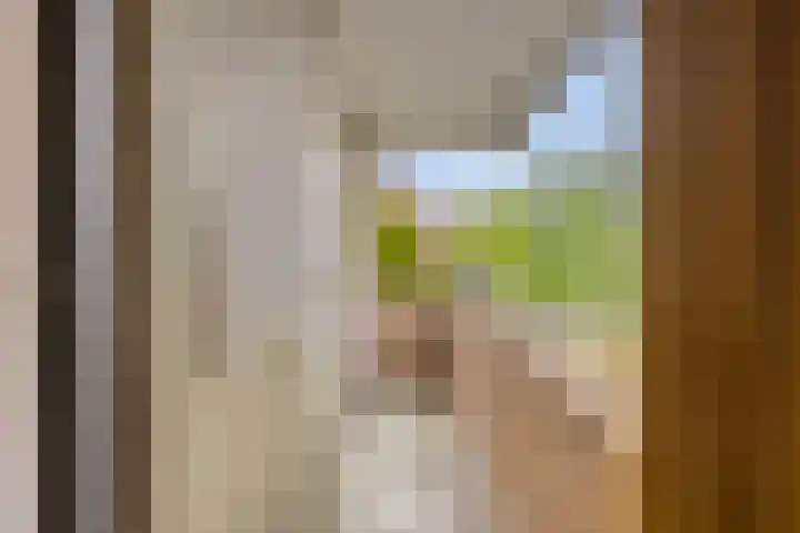 Verbeeklaan 9 Eindhoven thumbnail 23
