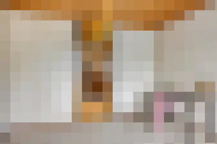 Verbeeklaan 9 Eindhoven thumbnail 27