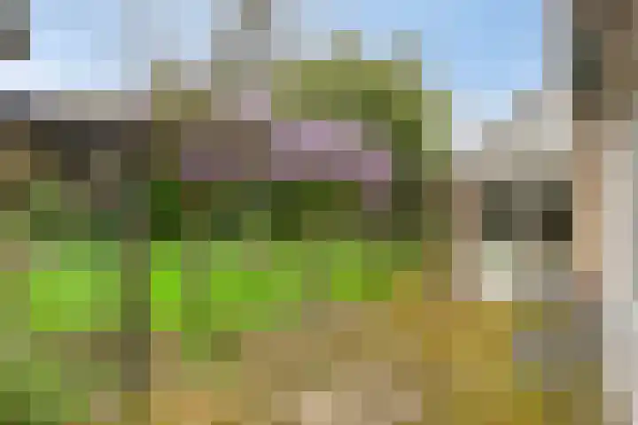 Verbeeklaan 9 Eindhoven thumbnail 35