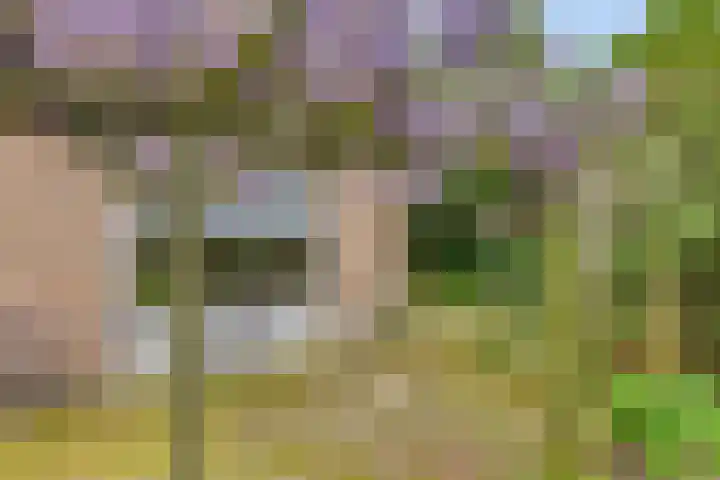 Verbeeklaan 9 Eindhoven thumbnail 36