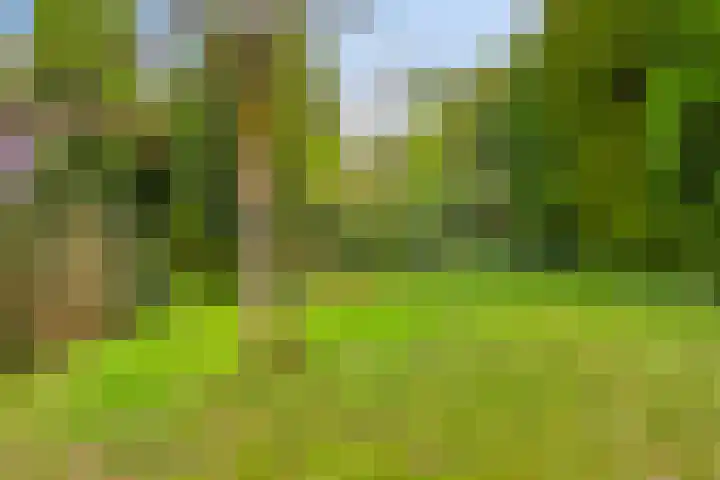 Verbeeklaan 9 Eindhoven thumbnail 38