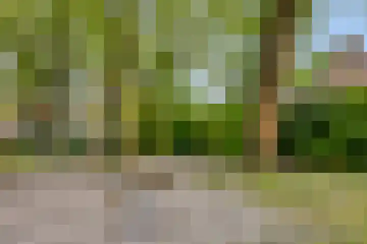 Verbeeklaan 9 Eindhoven thumbnail 39
