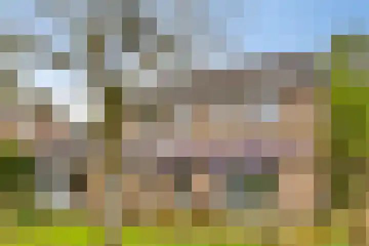 Verbeeklaan 9 Eindhoven thumbnail 4