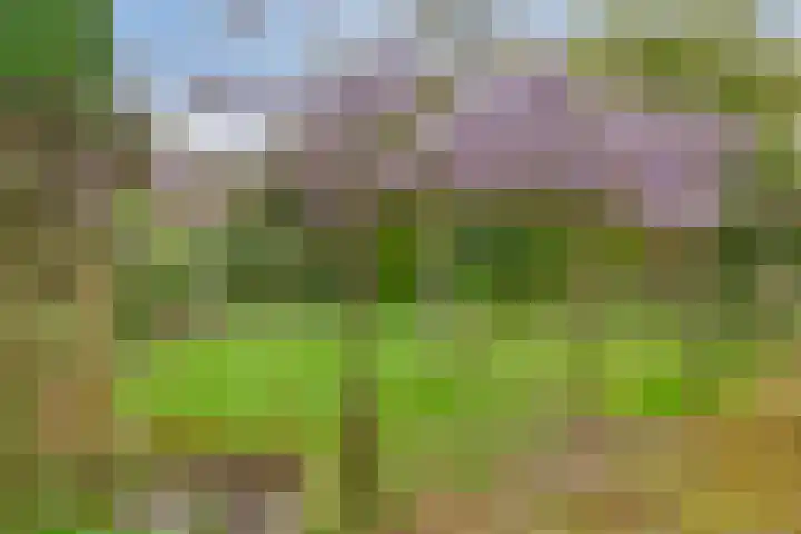 Verbeeklaan 9 Eindhoven thumbnail 5