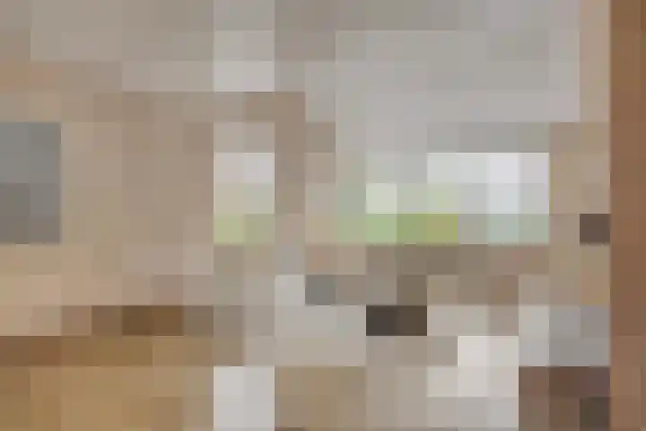 Verbeeklaan 9 Eindhoven thumbnail 8