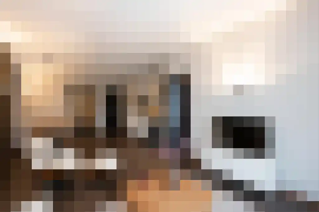Verbeekstraat 10 Leiden thumbnail 4