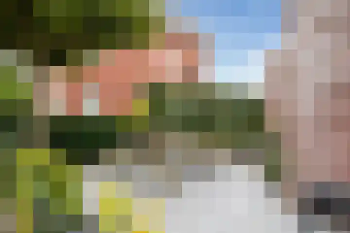 Verbeekstraat 21 Hoofddorp thumbnail 36