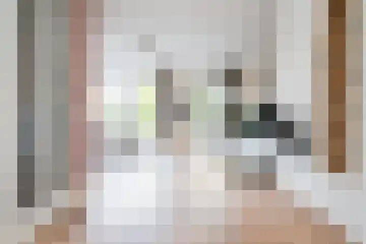 Verbeekstraat 21 Hoofddorp thumbnail 9