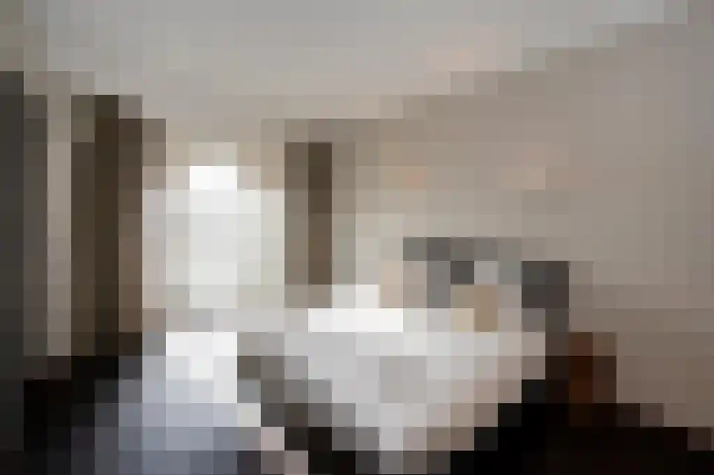 Verbeekstraat 3 E Leiden thumbnail 5