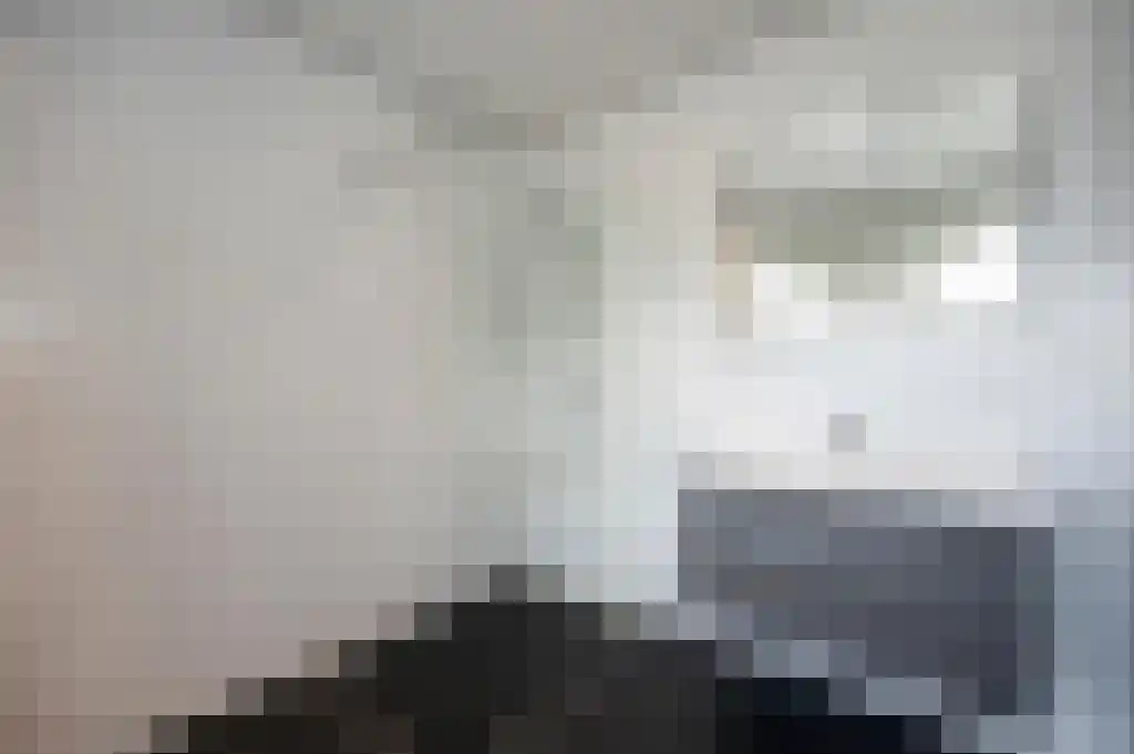 Verbeekstraat 4 Leiden thumbnail 5