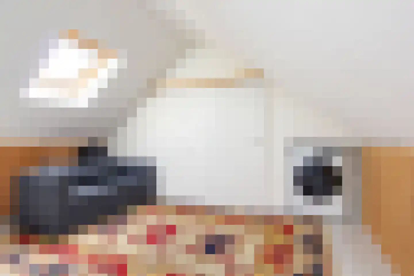 Verbeekstraat 6 Hoofddorp thumbnail 34