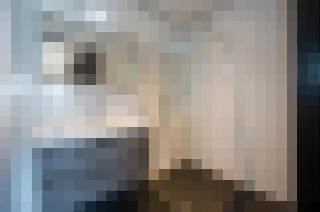 Verbeekstraat 7 Leiden thumbnail 6