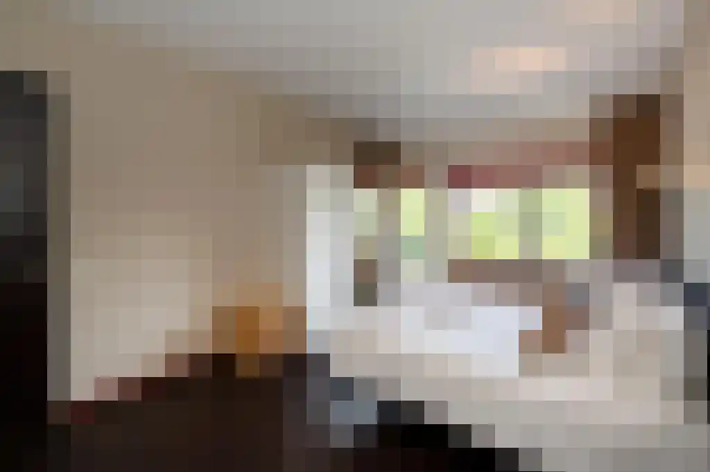 Verbeekstraat 8 E Leiden thumbnail 4