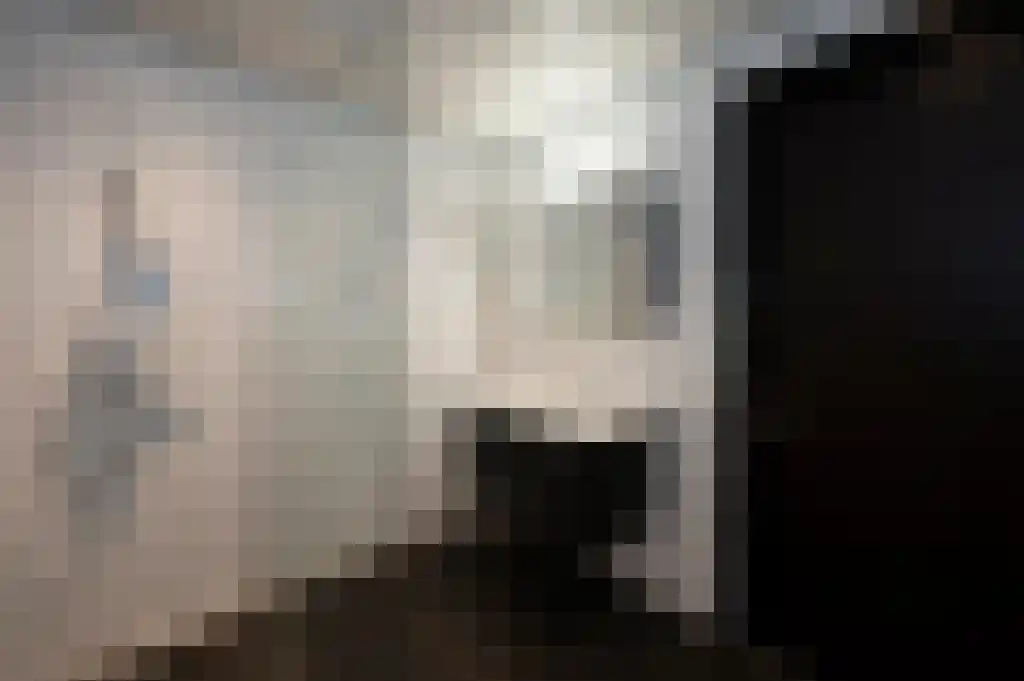 Verbeekstraat 8 E Leiden thumbnail 5
