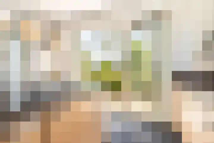 Verbeekstraat 9 Hoofddorp thumbnail 17