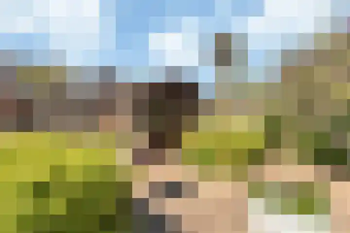 Verbeekstraat 9 Hoofddorp thumbnail 28