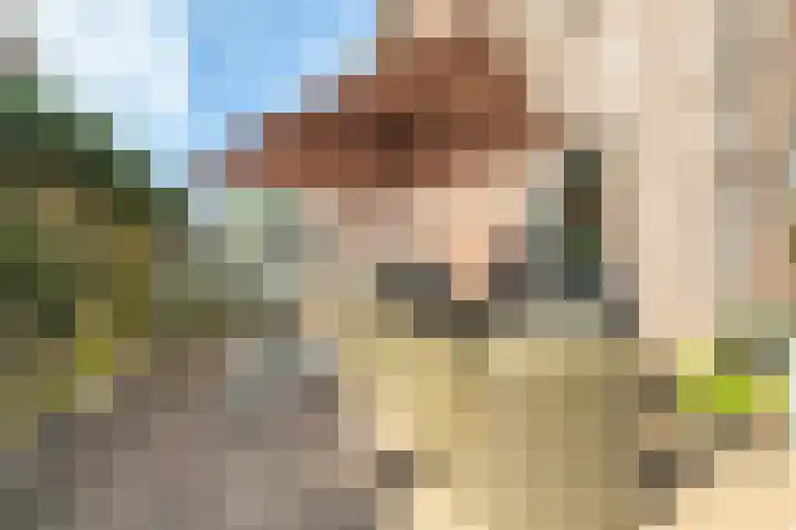 Verbeekstraat 9 Hoofddorp thumbnail 31