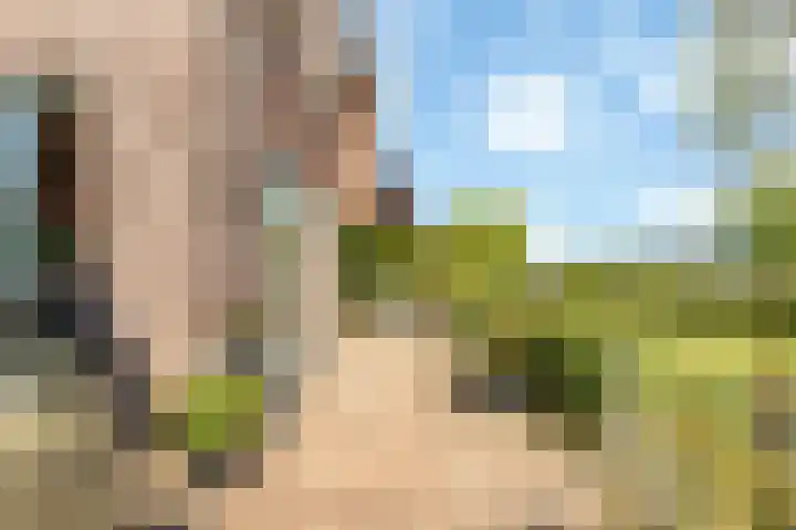 Verbeekstraat 9 Hoofddorp thumbnail 32