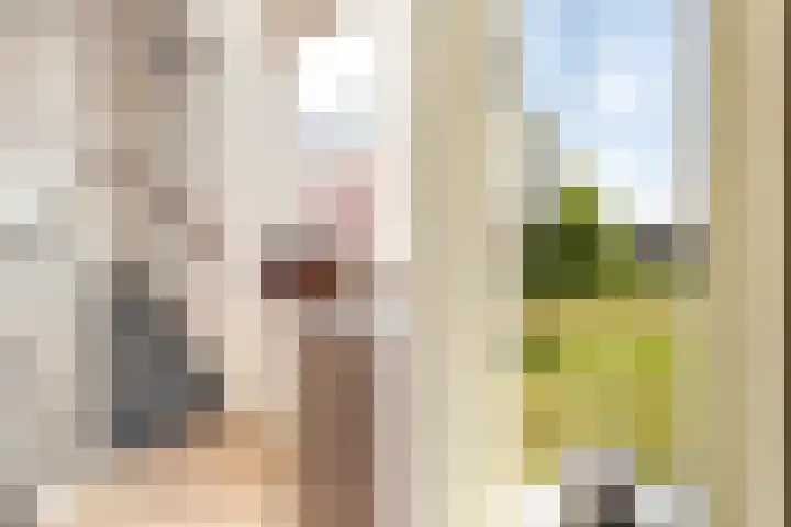 Verbeekstraat 9 Hoofddorp thumbnail 42