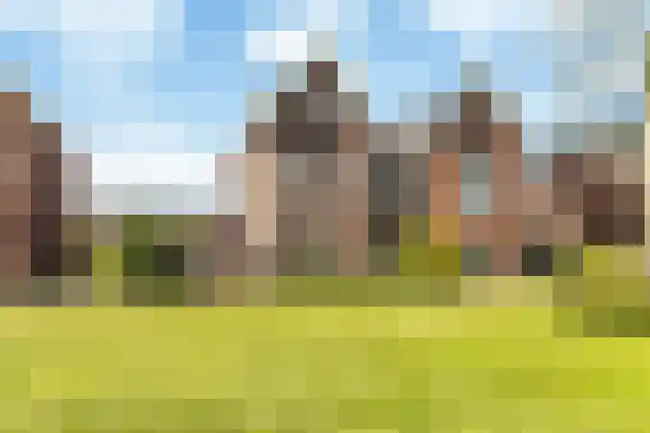 Verbeekstraat 9 Hoofddorp thumbnail 5