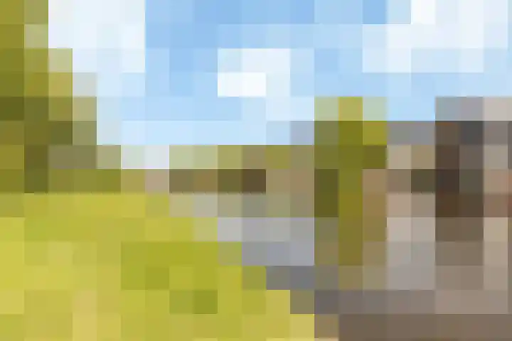 Verbeekstraat 9 Hoofddorp thumbnail 51