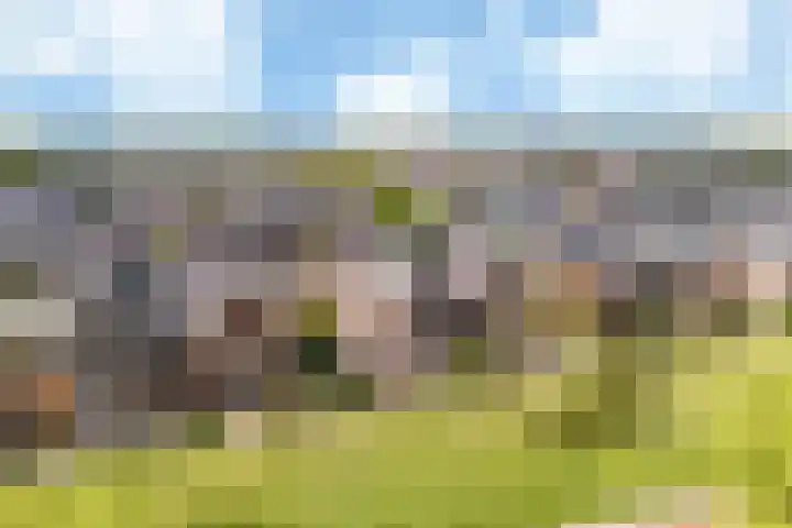 Verbeekstraat 9 Hoofddorp thumbnail 6