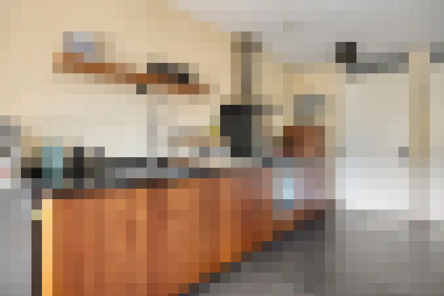 Verbeetenstraat 22 B5 Breda thumbnail 4