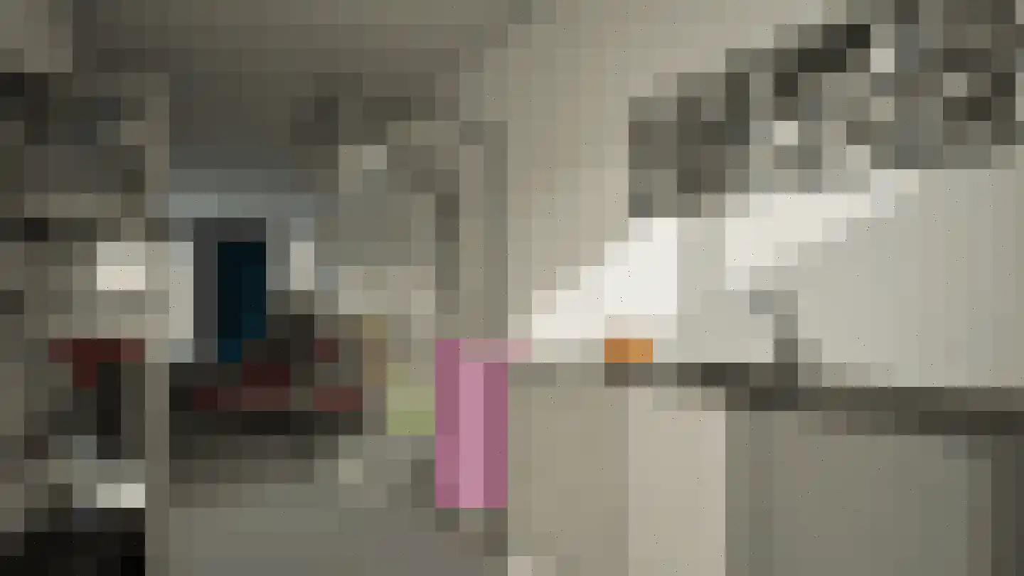Verbeetenstraat 25 Breda thumbnail 35