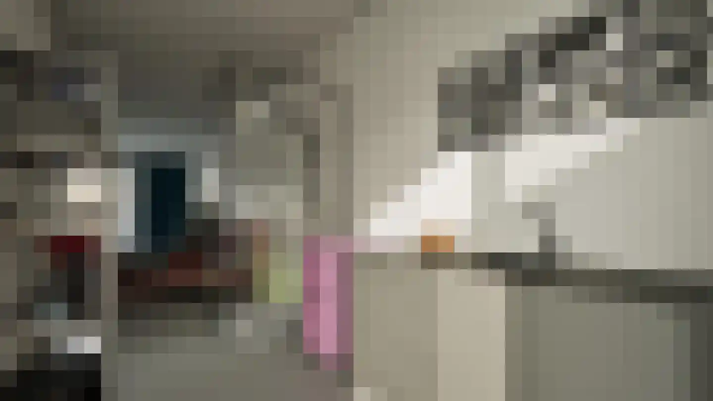 Verbeetenstraat 25 Breda thumbnail 35