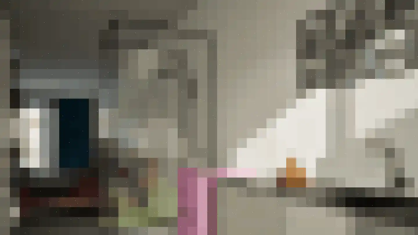 Verbeetenstraat 25 Breda thumbnail 36