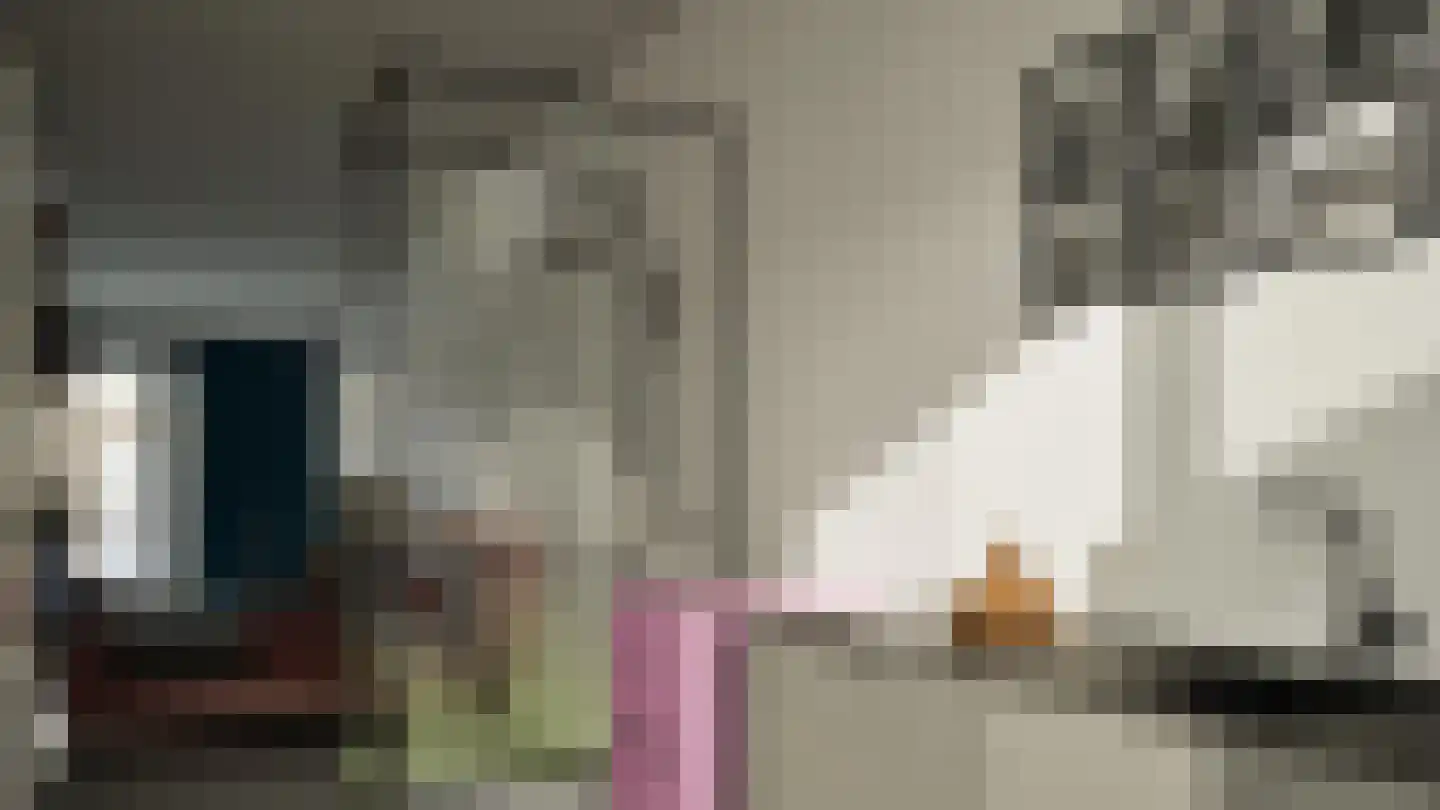 Verbeetenstraat 25 Breda thumbnail 36