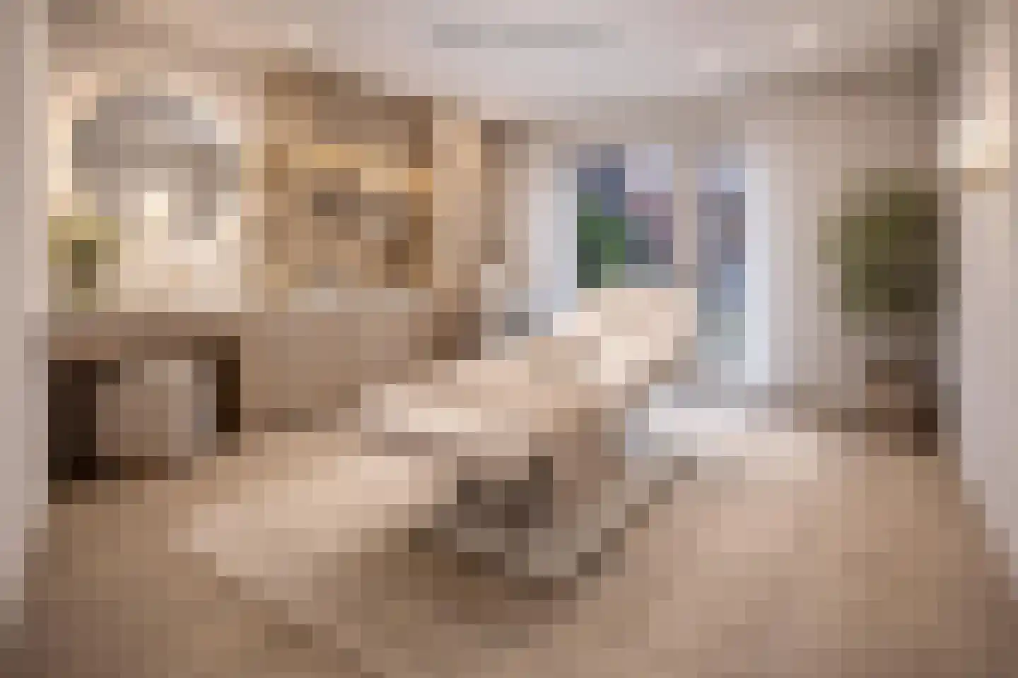 Verbeetenstraat 31 Breda thumbnail 10