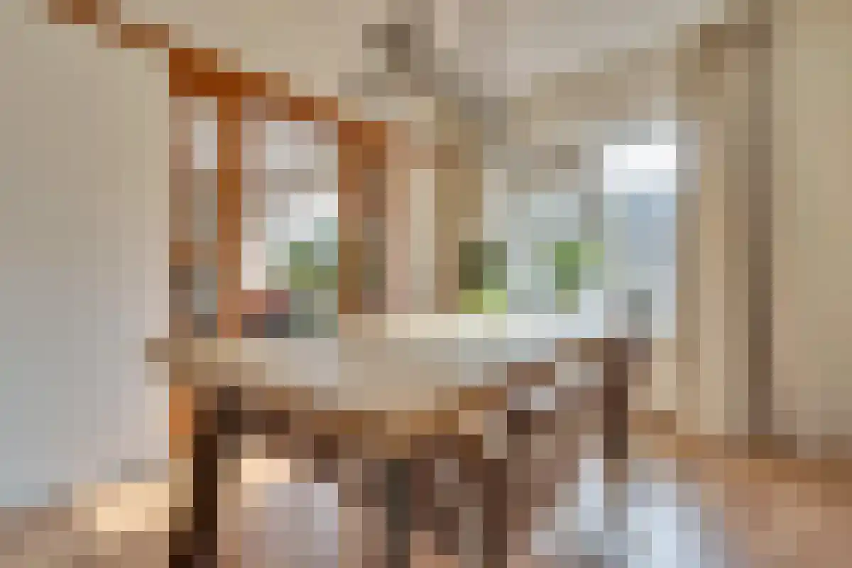 Verbeetenstraat 46 Breda thumbnail 6