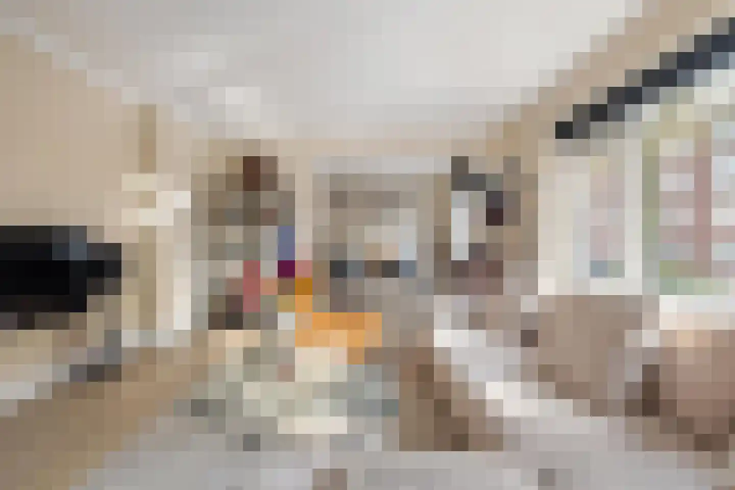 Verbeetenstraat 48 Breda thumbnail 30
