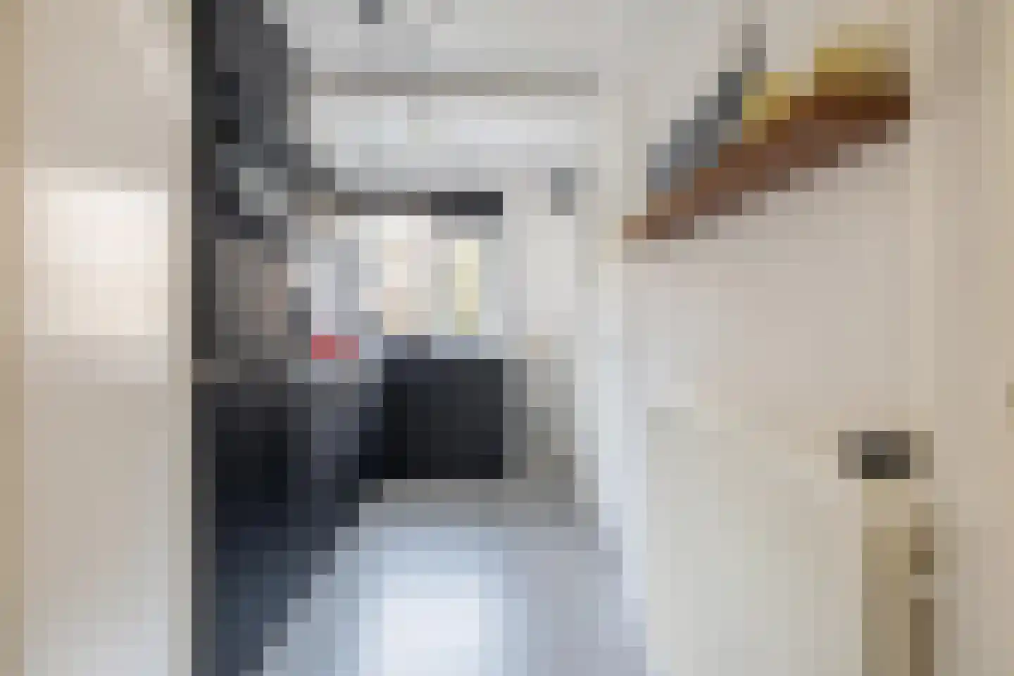 Verbeetenstraat 48 Breda thumbnail 31