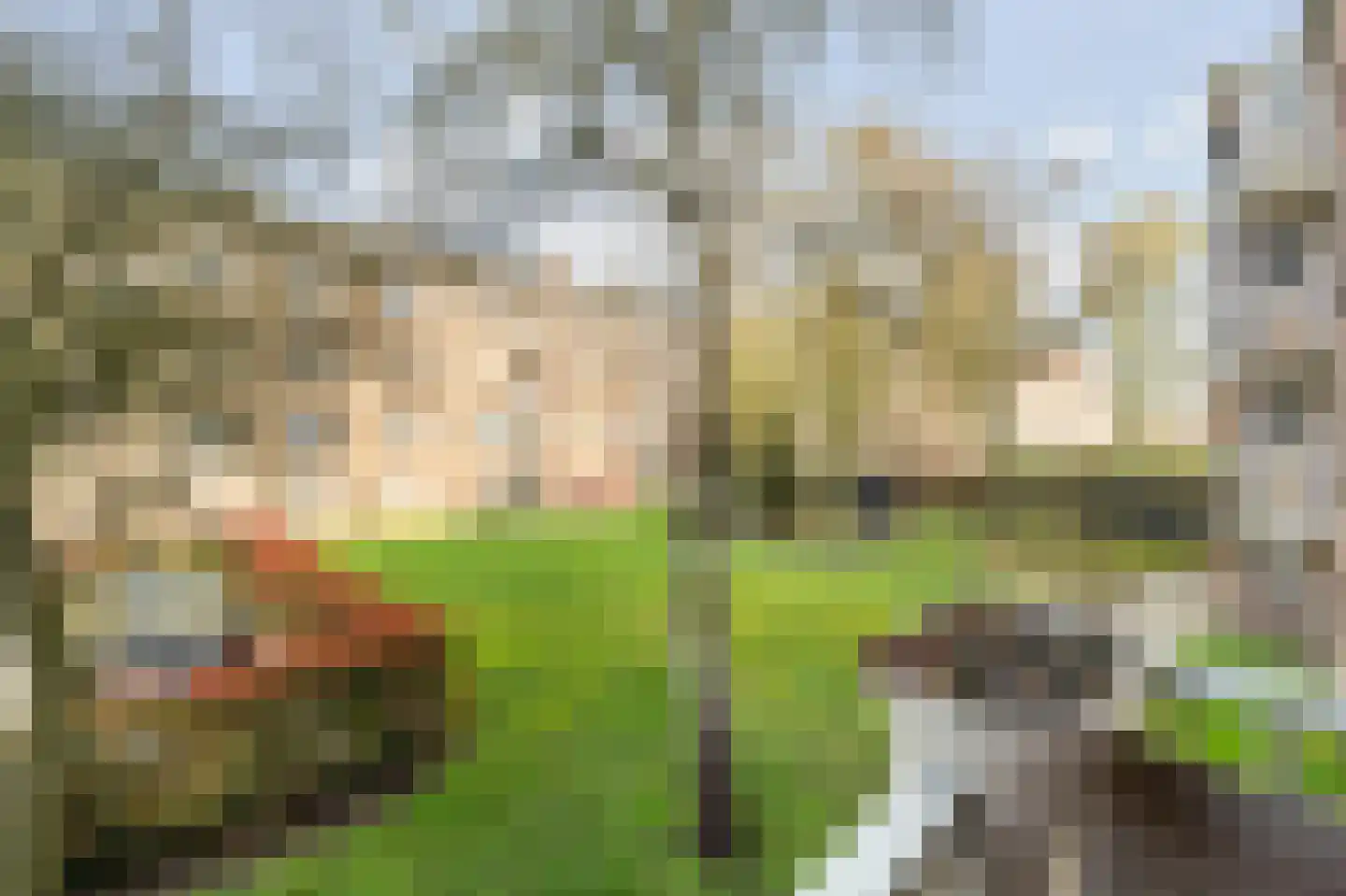 Verbeetenstraat 48 Breda thumbnail 36