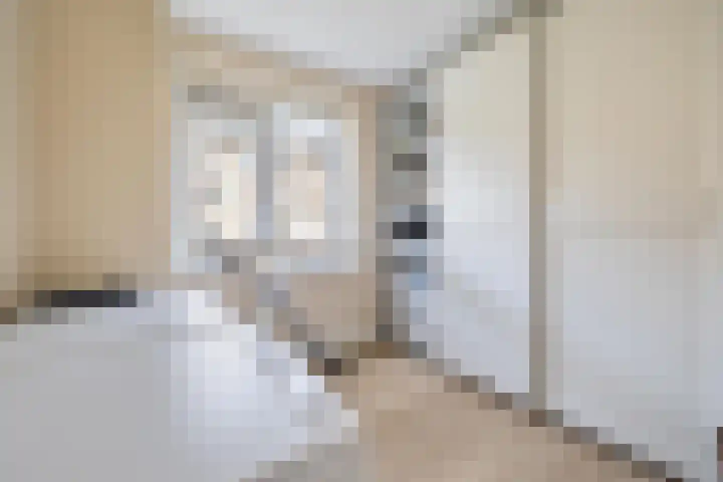 Verbeetenstraat 48 Breda thumbnail 43