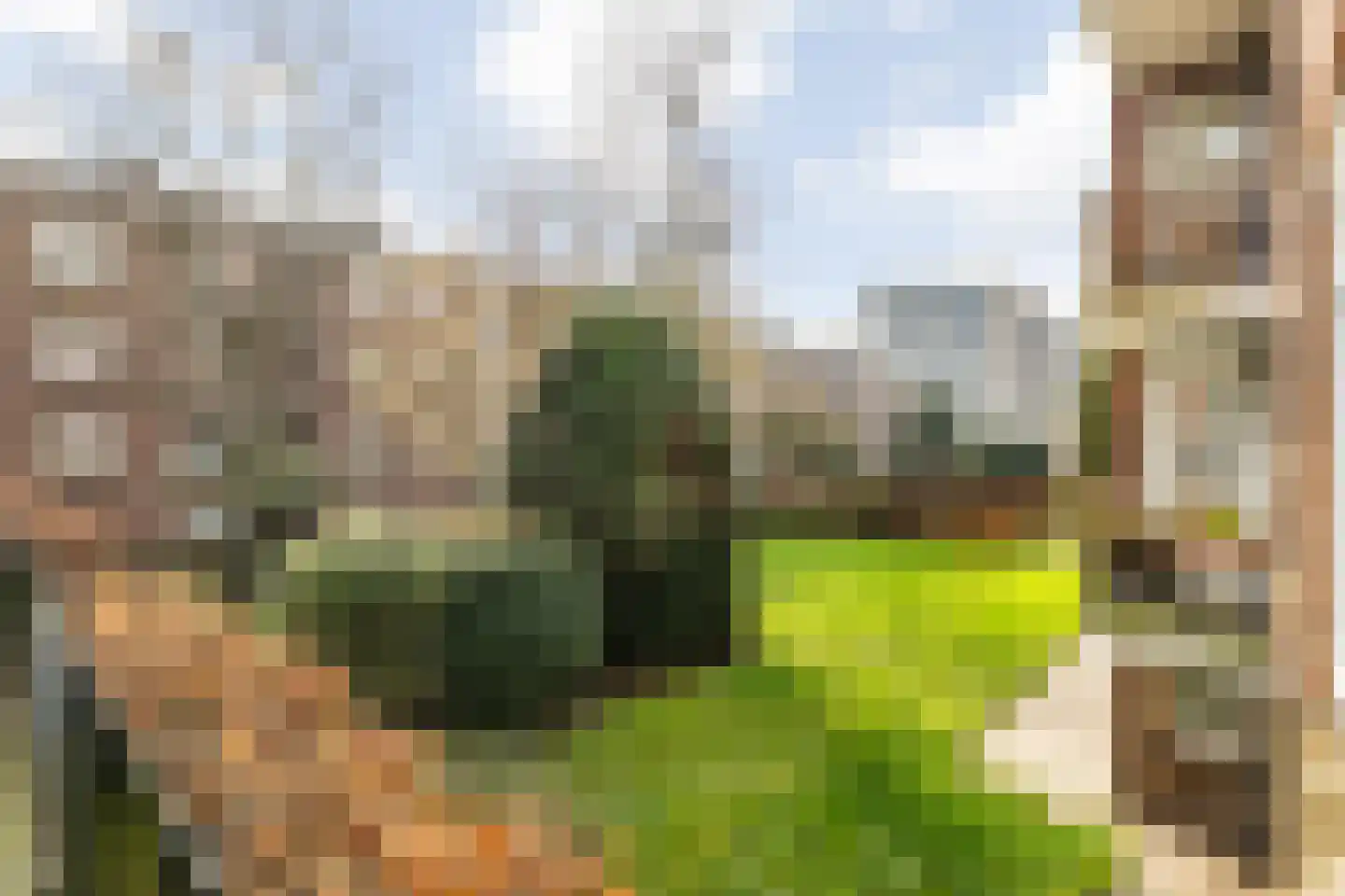 Verbeetenstraat 48 Breda thumbnail 47
