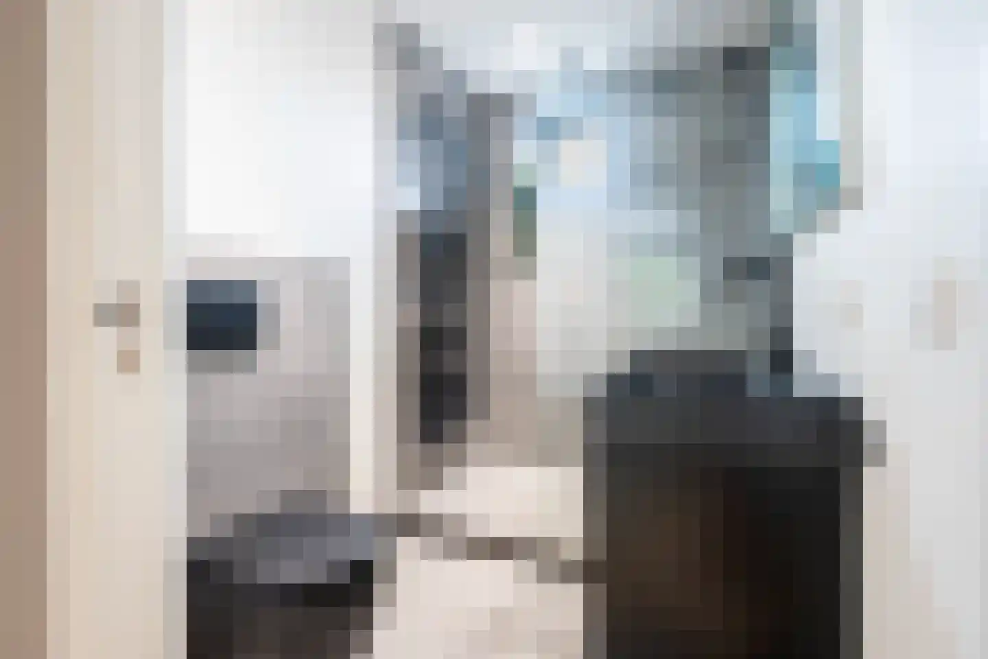 Verbeetenstraat 50 B Breda thumbnail 4