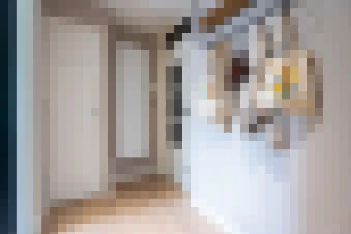 Verbeetenstraat 50 B Breda thumbnail 5