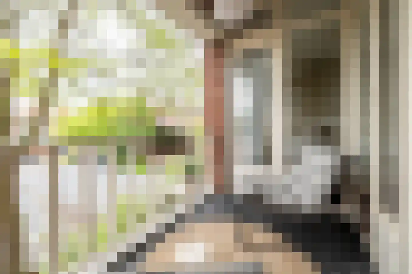 Verbeetenstraat 63 B Breda thumbnail 13