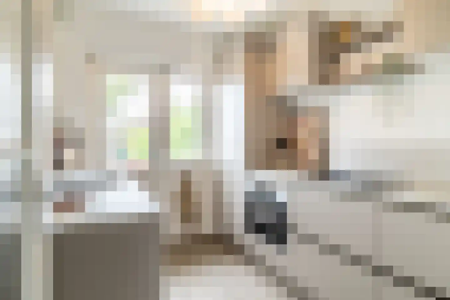 Verbeetenstraat 63 B Breda thumbnail 15