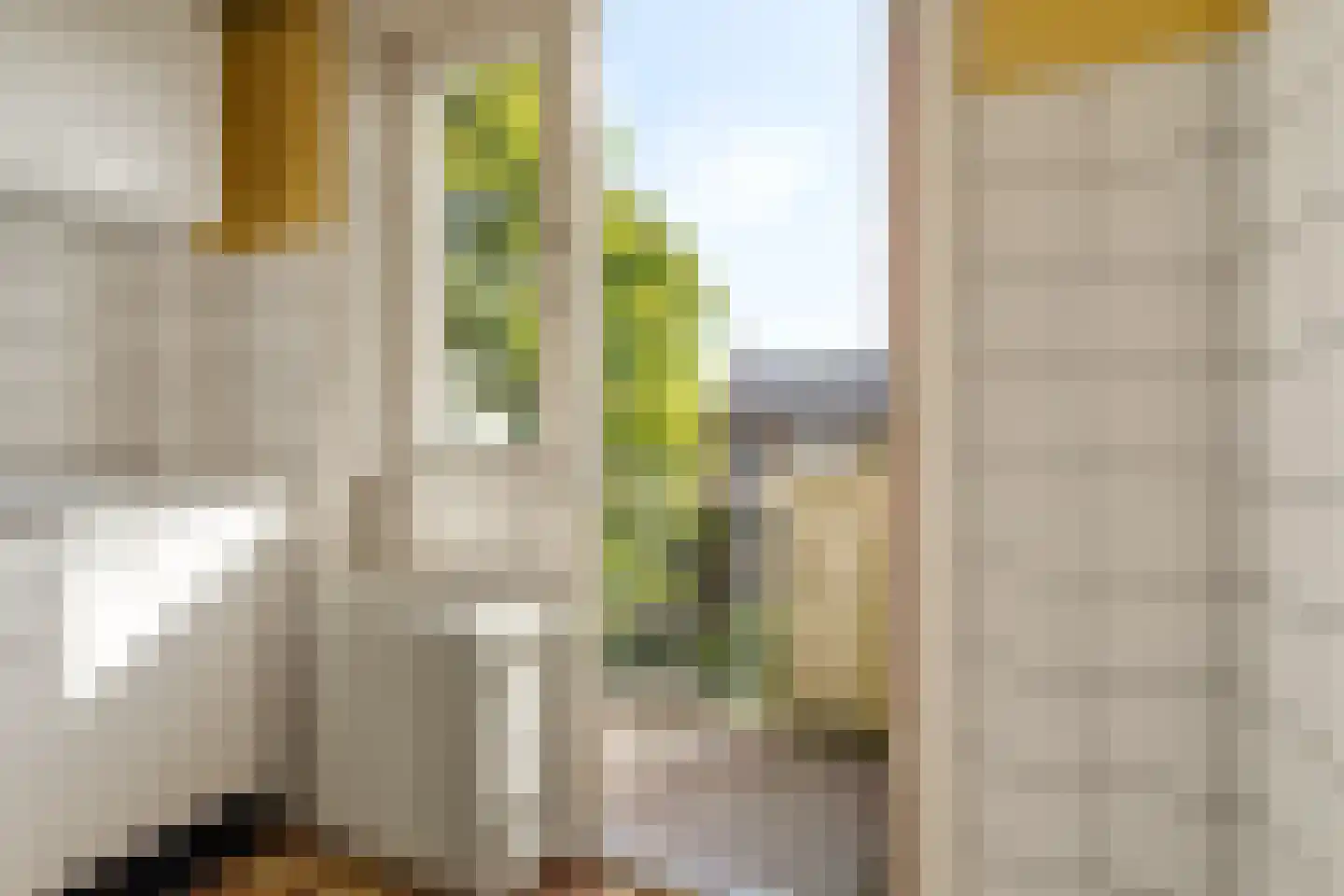 Verbeetenstraat 69 C Breda thumbnail 19