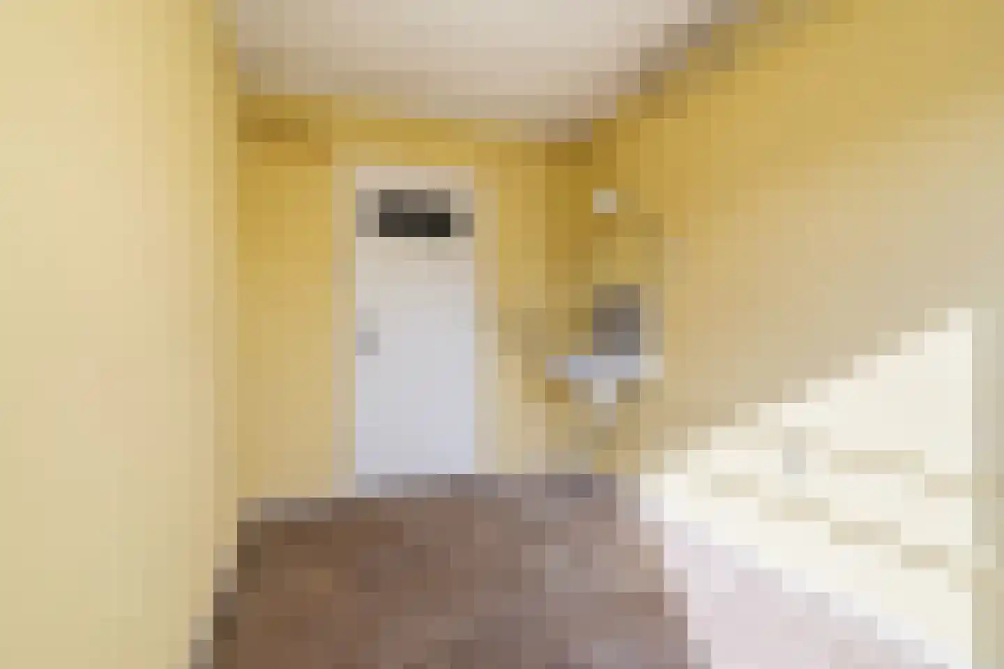Verbeetenstraat 69 C Breda thumbnail 28