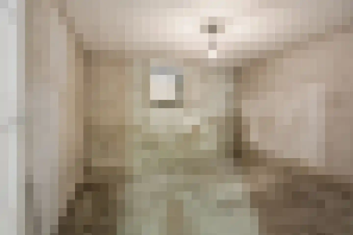 Verbeetenstraat 69 C Breda thumbnail 34