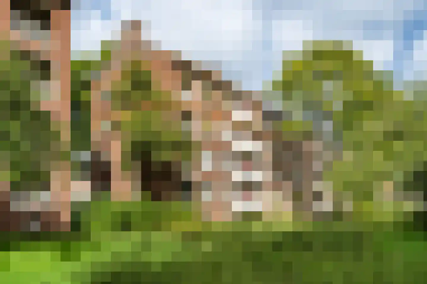 Verbeetenstraat 69 C Breda thumbnail 41