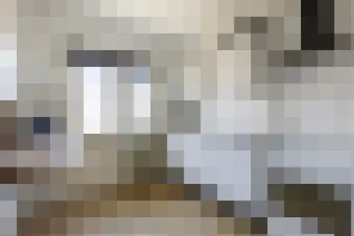 Verbeetenstraat 71 C Breda thumbnail 15