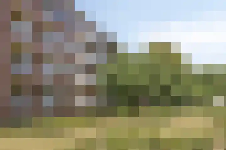 Verbeetenstraat 71 C Breda thumbnail 4